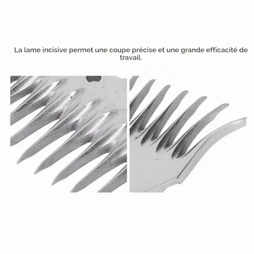 Garosa lame de tonte 13 dents pour mouton acier carbone 2 pièces incurvées