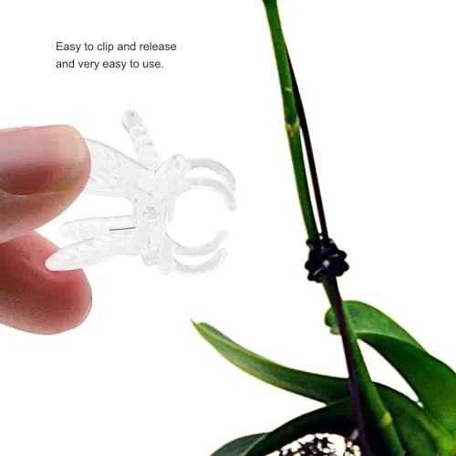 Garosa pince d’orchidée 3,5 × 3,5 cm transparente, lot de 100